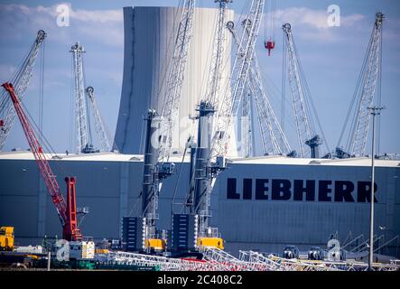 Rostock, Allemagne. 15 juin 2020. Des grues mobiles sont situées dans les locaux du fabricant de grues Liebherr-MCCtec Rostock, dans le port maritime. Fondée en 2002, la succursale de Liebherr emploie aujourd'hui environ 1,500 personnes et continue de s'étendre. Credit: Jens Büttner/dpa-Zentralbild/ZB/dpa/Alay Live News Banque D'Images