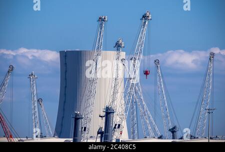 Rostock, Allemagne. 15 juin 2020. Des grues mobiles sont situées dans les locaux du fabricant de grues Liebherr-MCCtec Rostock, dans le port maritime. Fondée en 2002, la succursale de Liebherr emploie aujourd'hui environ 1,500 personnes et continue de s'étendre. Credit: Jens Büttner/dpa-Zentralbild/ZB/dpa/Alay Live News Banque D'Images