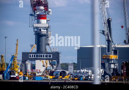 Rostock, Allemagne. 15 juin 2020. Des grues mobiles sont situées dans les locaux du fabricant de grues Liebherr-MCCtec Rostock, dans le port maritime. Fondée en 2002, la succursale de Liebherr emploie aujourd'hui environ 1,500 personnes et continue de s'étendre. Credit: Jens Büttner/dpa-Zentralbild/ZB/dpa/Alay Live News Banque D'Images