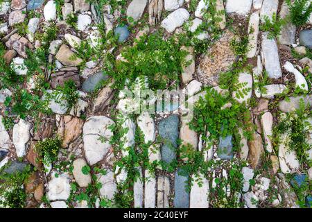Pierres multicolores sur le sol. Différentes formes et tailles. Texture du revêtement de pierre. Banque D'Images