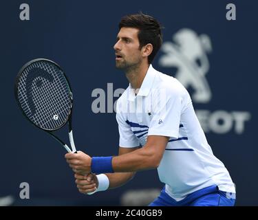 ***PHOTO DU FICHIER*** Novak Djokovic tests positifs pour le coronavirus. MIAMI GARDENS FL - 24 MARS : Novak Djokovic contre Federico Delbonis sur le terrain du stade lors de l'Open de Miami qui s'est tenu au Hard Rock Stadium le 24 mars 2019 à Miami Gardens, Floride. Crédit : mpi04/MediaPunch Banque D'Images