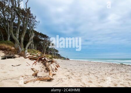 Plage sur la mer baltique en allemagne Banque D'Images