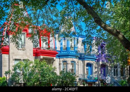 Maisons victoriennes colorées dans le plateau de l'arrondissement Mont-Royal à Montréal, Québec Banque D'Images