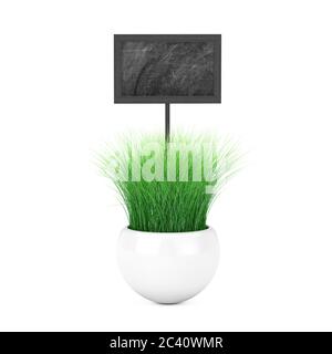 Pot de jardinière en céramique blanche et tableau noir en bois avec espace vide pour votre conception sur fond blanc. Rendu 3d Banque D'Images