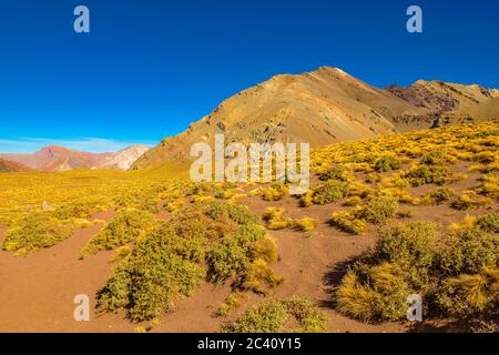 Paysage aride au parc national d'aconcagua, province de mendoza, argentine Banque D'Images