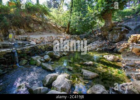 Sept sources d'eau (Epta Piges) dans la forêt près de Kolymbia (Rhodes, Grèce) Banque D'Images