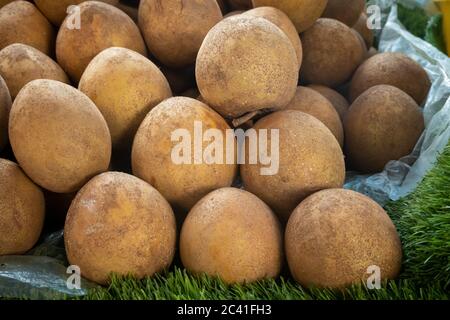 Fruit de Sapodilla ou localement connu en Malaisie comme 'ciku' Banque D'Images