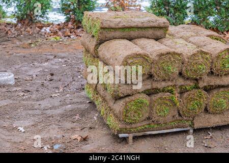 La plantation de pelouse moderne des technologies de conception de paysage sur la palette roll grass close up, Banque D'Images