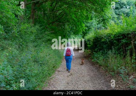 Femme mature portant des vêtements décontractés et un sac à dos rouge marchant calmement avec son chien sur un chemin de terre parmi les arbres abondants et la végétation verte de feuillage, c Banque D'Images