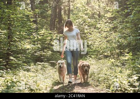 Femme à pied avec deux chiens dans le parc l'été Banque D'Images