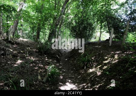 Un chemin à travers le paysage de High Wealden dans East Sussex. Beaucoup de ces itinéraires suivent le haut du sol pour les rendre plus praticables dans les mois les plus humides. Banque D'Images