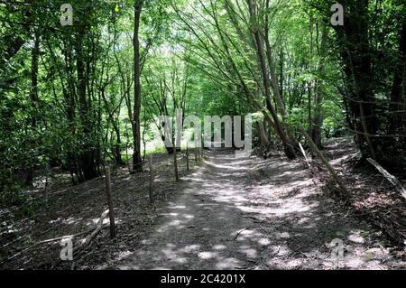 Un chemin à travers le paysage de High Wealden dans East Sussex. Beaucoup de ces itinéraires suivent le haut du sol pour les rendre plus praticables dans les mois les plus humides. Banque D'Images