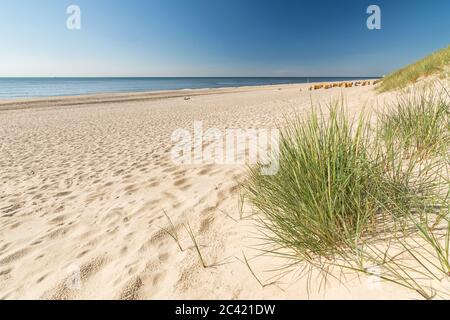 Plage de sable et d'herbe sur l'île de Sylt, Allemagne Banque D'Images