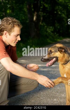 Chien donne patte Banque D'Images