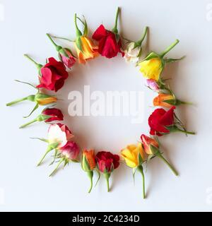 Mise en page créative avec des fleurs roses colorées en forme d'anneau sur fond blanc. Concept minimal d'été avec lumière et ombres dures. Copier Banque D'Images