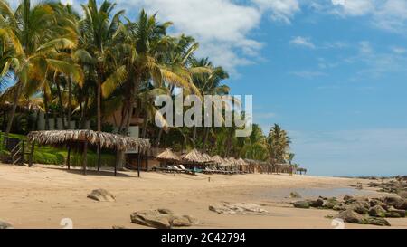 Parasols en paille sur une plage sans personnes à côté d'une rangée de palmiers avec un ciel bleu en arrière-plan Banque D'Images