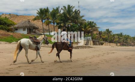 Mancora, Piura / Pérou - avril 8 2019: Homme à cheval seul sur la plage avec des palmiers en arrière-plan pendant la journée Banque D'Images