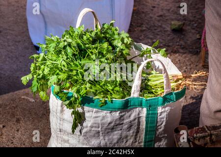 Impressions du Maroc: Persil sur le marché des légumes Banque D'Images