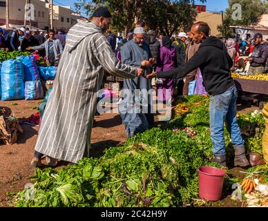 Impressions du Maroc: Persil sur le marché des légumes Banque D'Images