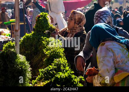 Impressions du Maroc: Persil sur le marché des légumes Banque D'Images