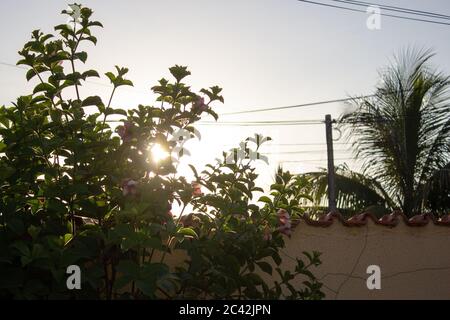 Le soleil se pose derrière une petite usine à côté d'un mur de maison et de fils électriques Banque D'Images