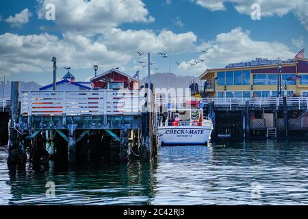 CheckMate dans le port de Monterey Banque D'Images