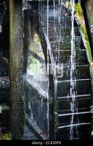 Moulin à eau de Horn-Bad Meinberg, Rhénanie-du-Nord-Westphalie, Allemagne Banque D'Images