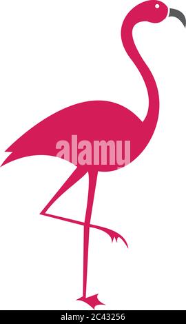 Logo Flamingo modèle vector icône illustration design Illustration de Vecteur