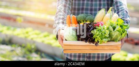 Portrait jeune homme asiatique récolte et récolte de légumes frais biologiques dans le panier dans la ferme hydroponique, l'agriculture et la culture de la bruyère Banque D'Images