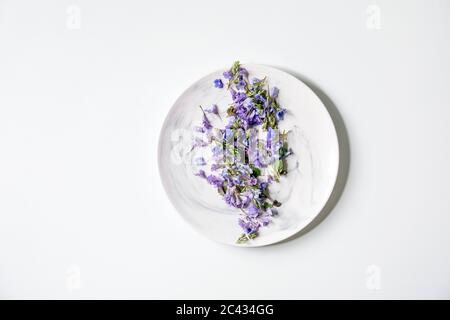 Violet violet fleurs comestibles sur plaque blanche sur fond blanc. Pose à plat, espace Banque D'Images
