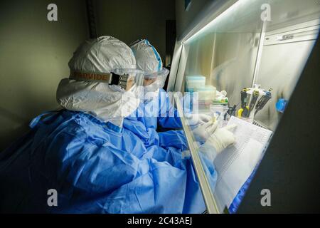 (200624) --BEIJING, 24 juin 2020 (Xinhua) -- les travailleurs médicaux vérifient les listes d'échantillons au laboratoire de réaction en chaîne par polymérase (PCR) à l'hôpital Beijing Puren de Beijing, capitale de la Chine, 23 juin 2020. (Xinhua/Zhang Yuwei) Banque D'Images