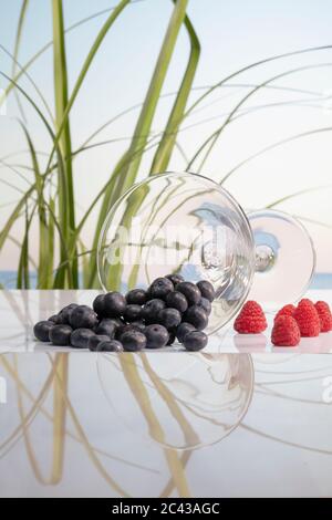 Des bleuets frais débordent d'un verre de martini couché à côté de quelques framboises tentantes sur une table en verre sur un fond dépoli. Vacances a Banque D'Images