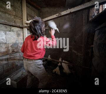 Petit garçon avec pigeons sur ferme d'oiseaux Banque D'Images