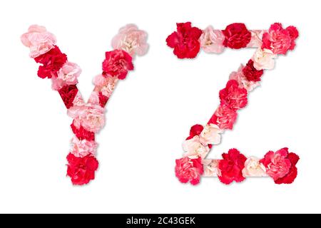 Police de fleurs alphabet y Z ensemble (collection A-Z), fait de vraies fleurs de Carnation rose, rouge avec papier coupé en forme de lettre majuscule. Police florale Banque D'Images