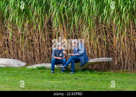 Un couple assis devant un champ de bambou est engrosé dans une conversation. Concert au château de Dyck, Jüchen, Allemagne Banque D'Images