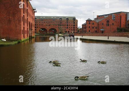 Oies et entrepôts du Canada (entrepôt intermédiaire et entrepôt des marchands à gauche), bassin du canal Bridgewater, Castlefield, Manchester, Angleterre, Royaume-Uni Banque D'Images