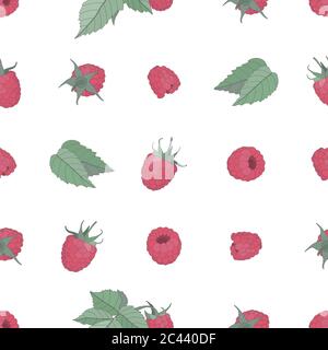 Concept de baie à motif vectoriel sans couture. Framboise colorée sur fond blanc Illustration de Vecteur