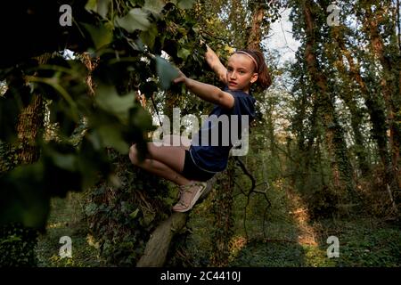Vue latérale complète de la jeune fille grimpant sur un arbre en forêt