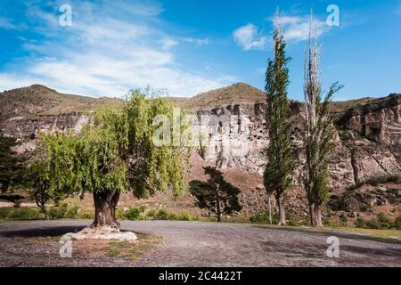 Géorgie, Samtskhe-Javakheti, arbres en face du monastère de la grotte de Vardzia Banque D'Images