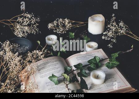 Livre de poésie d'époque ouvert sur une surface de tables noires avec bougies blanches et fleurs séchées. Ambiance sombre, romantique et confortable avec une branche de lierre sur le dessus Banque D'Images