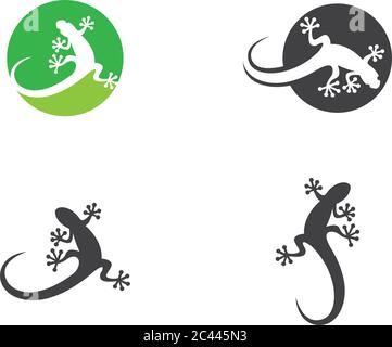 Modèle de logo Lizard dessin d'illustration d'icône vectorielle Illustration de Vecteur