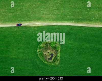 Russie, oblast de Moscou, vue aérienne de la voiture passant par un petit étang dans un champ de campagne vert Banque D'Images