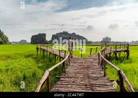 Vietnam, province de Ninh Binh, Ninh Binh, Male, promenade touristique le long de la promenade dans le delta de la rivière Hong Banque D'Images