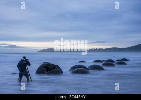 Nouvelle-Zélande, Océanie, Île du Sud, Southland, Hampden, Otago, Moeraki, Koekohe Beach, Moeraki Boulders Beach, Moeraki Boulders, Homme photographiant des pierres rondes sur la plage au crépuscule Banque D'Images