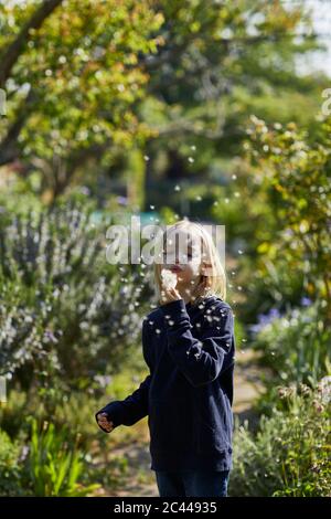 Fille dans le jardin d'allotement soufflant une boule de soufflage Banque D'Images