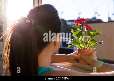 Femme plaçant des fleurs en pot sur le rebord de la fenêtre Banque D'Images