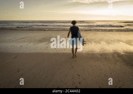 Costa Rica, province de Puntarenas, Puntarenas, vue arrière de surfeur mâle marchant vers l'océan avec planche de surf en main Banque D'Images