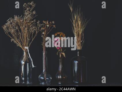 Arrangement de fleurs séchées cueillies à la main sur fond noir. Image abstraite sombre de quatre vieux millésimes de bouteilles de verre antique avec des fleurs séchées Banque D'Images