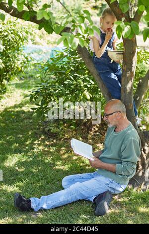 Grand-père et petite-fille décontractés dans le jardin lisant un livre et mangeant des fraises Banque D'Images