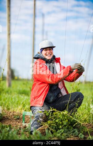 Portrait d'une agricultrice heureuse qui plante des cultures de houblon sur le terrain à Hallertau, en Bavière, en Allemagne Banque D'Images